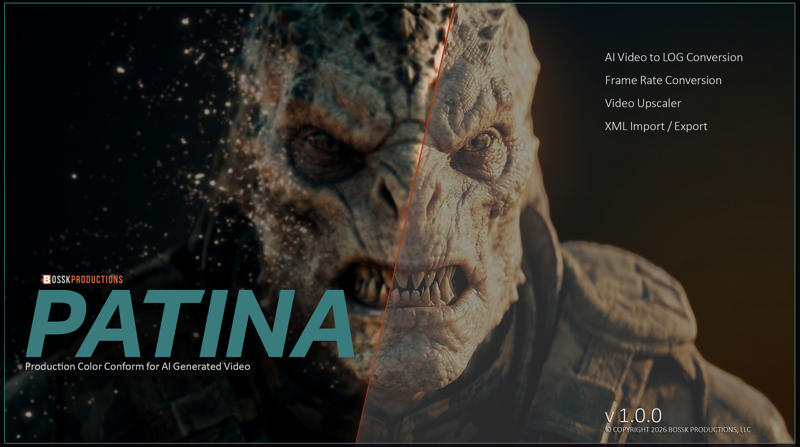 PATINA — Production Color Conform for AI Generated Video